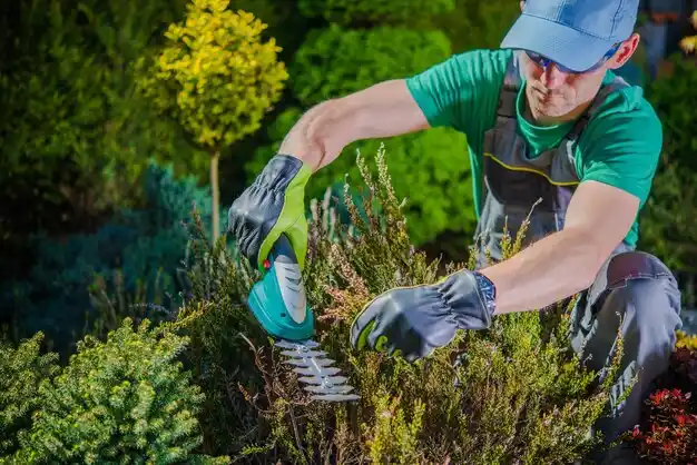 landscaping services Maple Heights